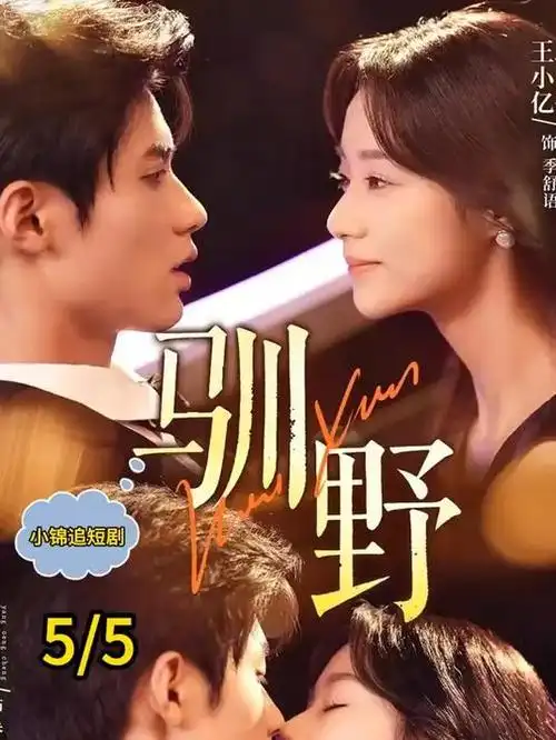 繁花 蓝光超清